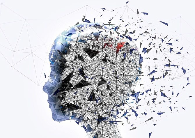 人の頭部のイメージ図