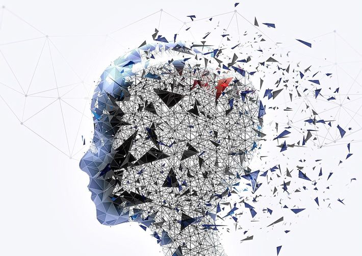 ※写真はイメージです