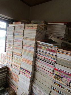 男性宅での2回目の作業。几帳面に同じ大きさの本が積み上げられていた。