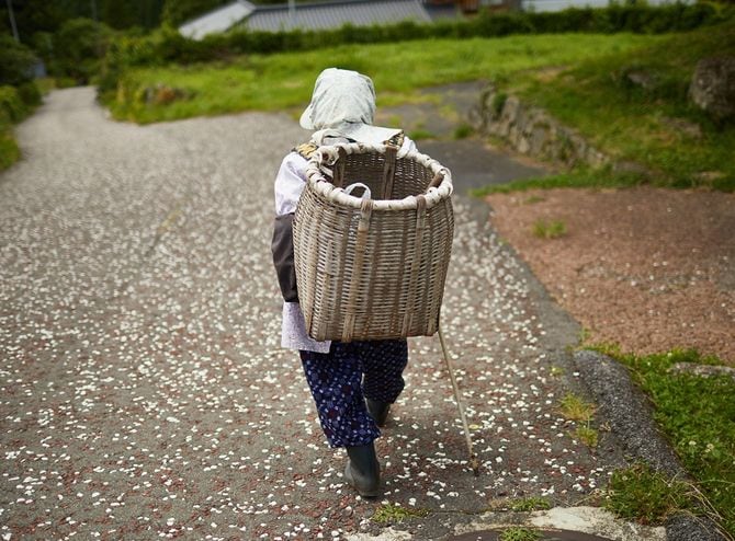 老婆は、中山道の森林で木材を拾いに行きます