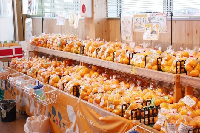 「産直市場よってって」みかん売り場