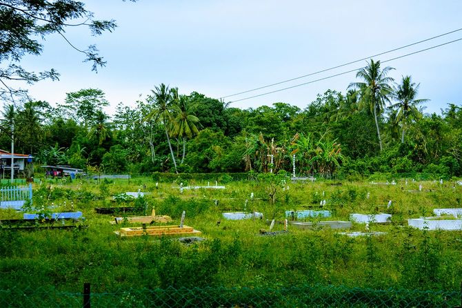 ボルネオのムスリム墓地
