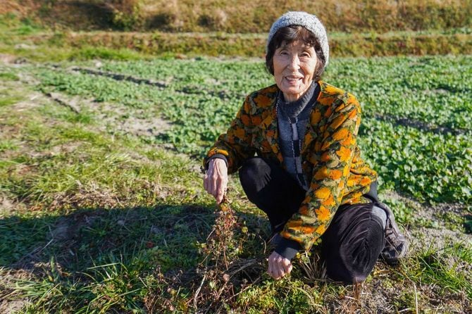 農園を楽しむシニア女性