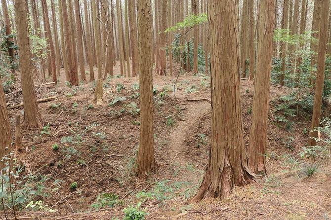 連続する堀切により尾根が波打っている