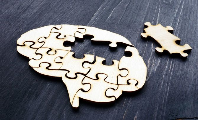 脳の形のパズルにはまっていないピースがある