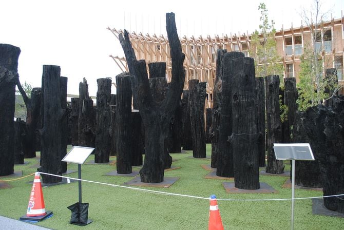 倒木の可能性の指摘を受け立入禁止になっているインスタレーション「文明の森」