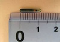 犬・猫への装着が義務化されるマイクロチップ(出典=環境省HP「犬と猫のマイクロチップ情報登録に関するQ&A」)