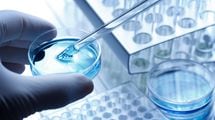 史上最年少の大学教授が狙う｢多臓器一括再生｣