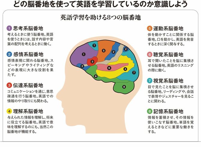 【図表1】どの脳番地を使って英語を学習しているのか意識しよう