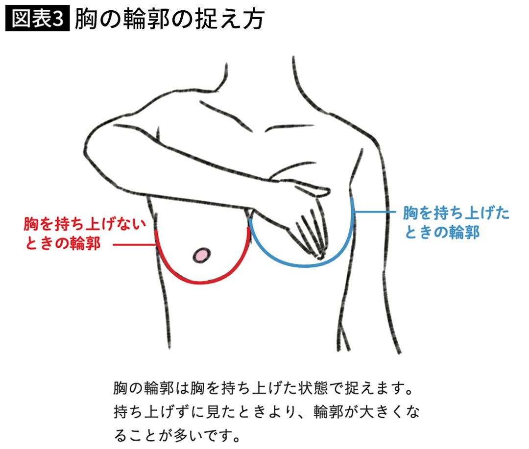 【図表】胸の輪郭の捉え方