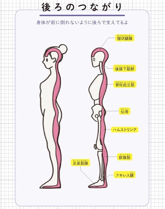 【イラスト】後ろのつながり