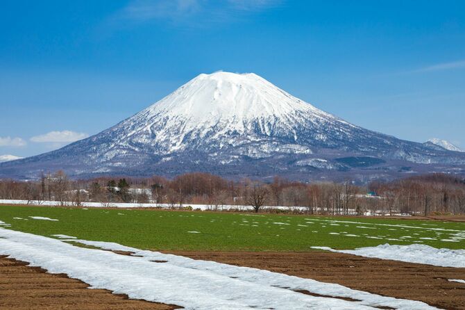 2020年4月3日、雪解けの小麦畑と羊蹄山（北海道ニセコ町）