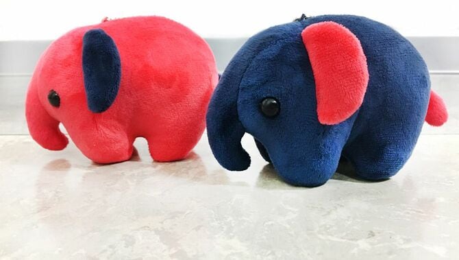 「どむみ」と「どむへい」