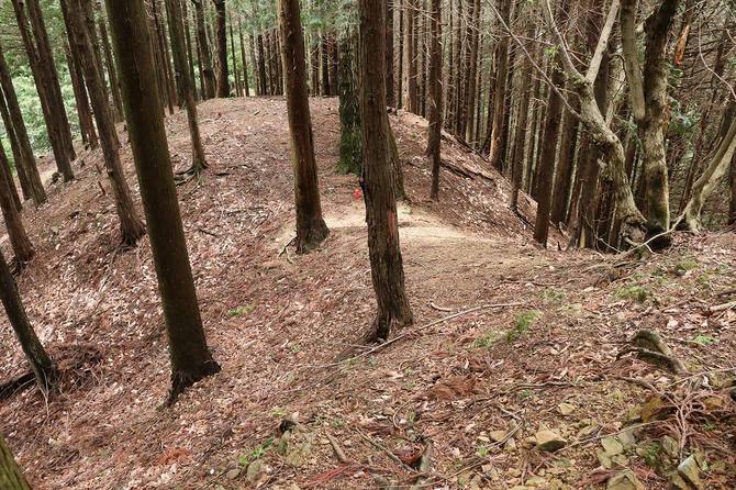 西尾根の堀切のひとつ。奥が崖になりさらにその下にも堀切