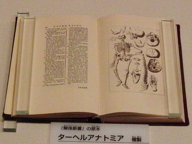 国立科学博物館 に展示されている『ターヘルアナトミア』複製（写真＝Momotarou2012／CC-BY-SA-3.0／Wikimedia Commons）