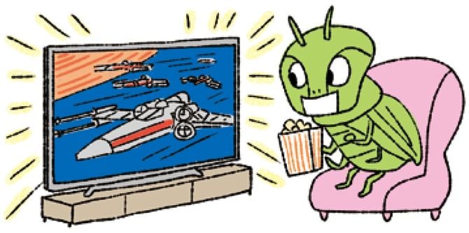 バッタに『スターウォーズ』を見せたら……