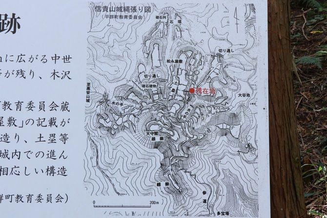 信貴山城の縄張図