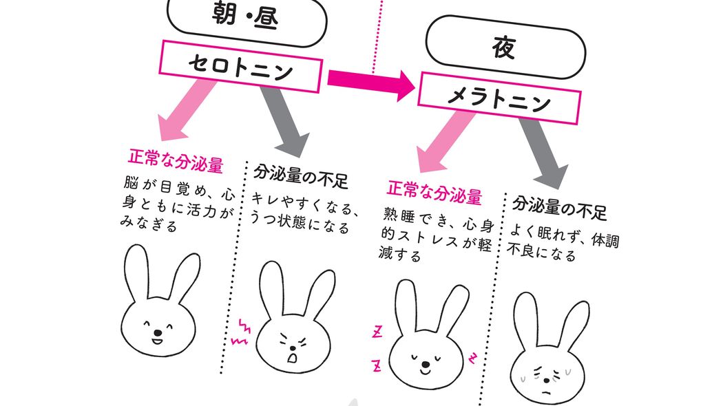 夜眠れないあなたにぐっすり快眠をもたらす睡眠ホルモン｢メラトニン｣をつくる至って簡単な"スマホ習慣" 体内時計は勝手に修正できない