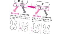 夜眠れないあなたにぐっすり快眠をもたらす睡眠ホルモン｢メラトニン｣をつくる至って簡単な"スマホ習慣"