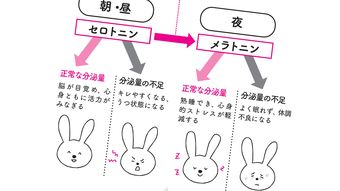 夜眠れないあなたにぐっすり快眠をもたらす睡眠ホルモン｢メラトニン｣をつくる至って簡単な"スマホ習慣"
