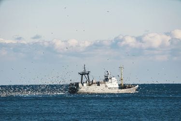 これが｢現代の奴隷制｣である…海外メディアが報じた｢中国人船員に