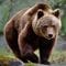 クマに背を向けた学生が一人､また一人と襲われた…獣医師ハンターが｢これだけは持って｣という"命綱"の正体