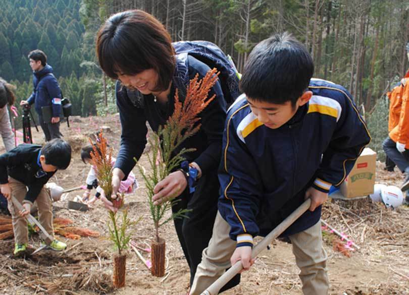 「花粉症対策苗木」は花粉症問題を解決できるか