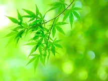 「勇気」を手中に！ 鍵はイメトレと反復練習にあり