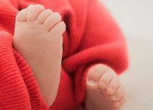 出世と出産の二兎を追う2つの方法