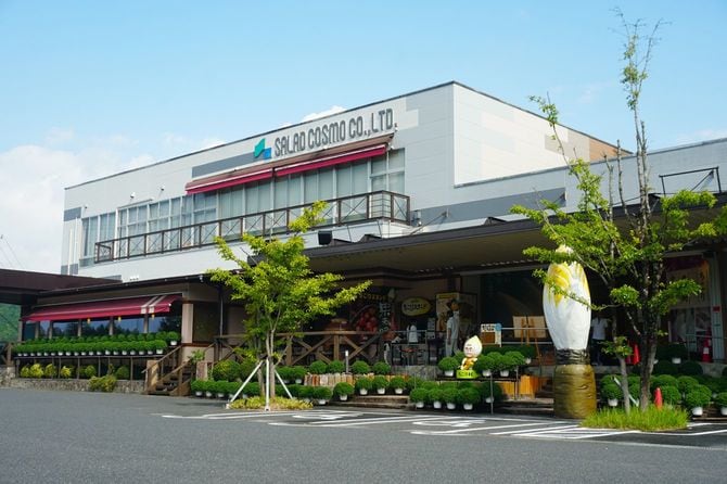 観光施設「ちこり村」を併設したサラダコスモ本社