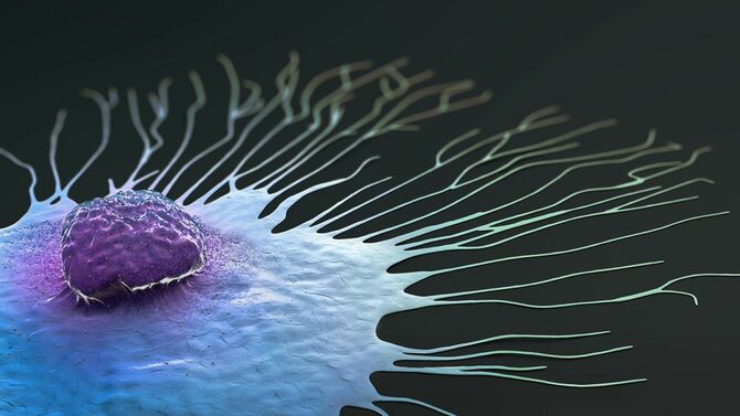 移行期のがん細胞イメージ