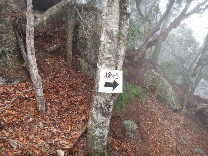 木にロープで結び付けられた看板