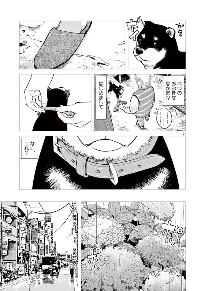 『しっぽの声』c夏緑・ちくやまきよし／小学館