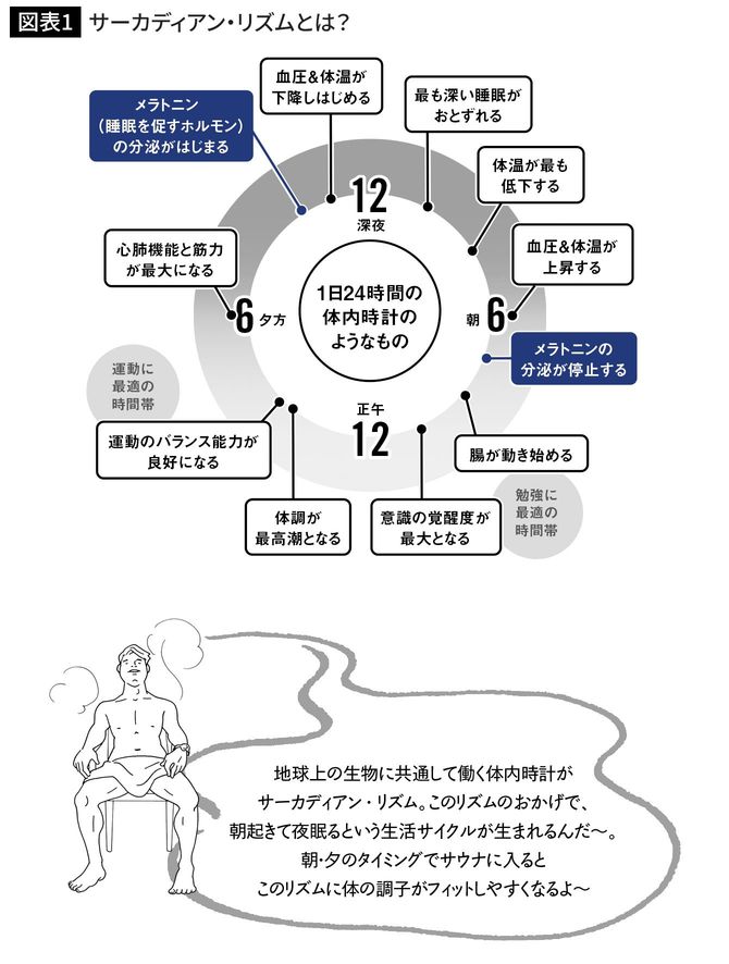 サーカディアン・リズムとは？