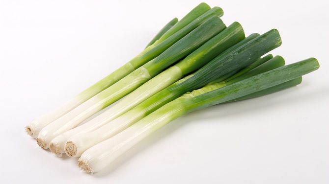 長ねぎ