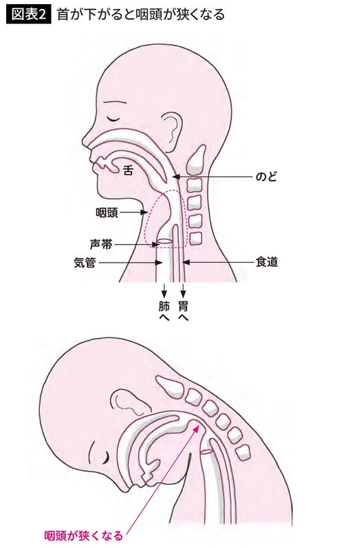 首が下がると咽頭が狭くなる