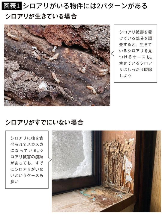 【図表1】シロアリがいる物件には2パターンがある