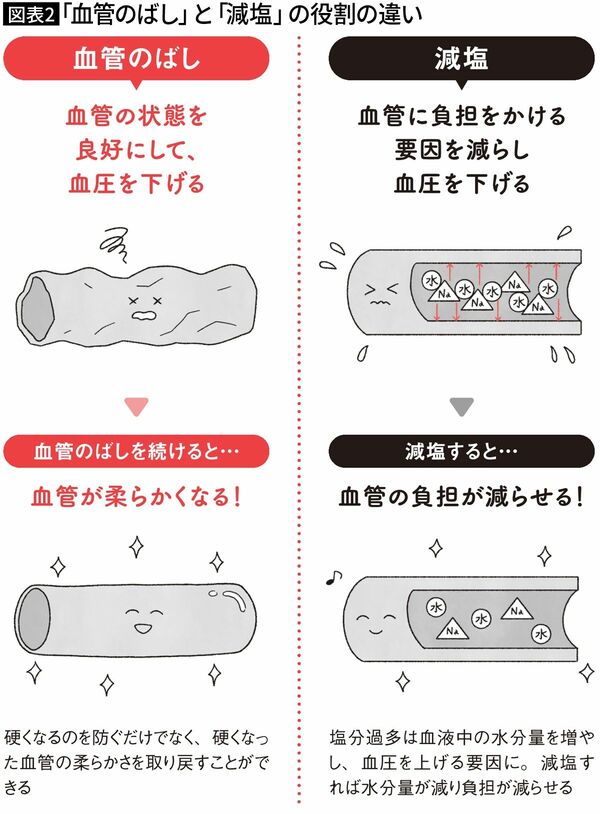 【図表2】「血管のばし」と「減塩」の役割の違い