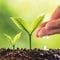 逆算すると､必要な年収が見えてくる…現役の今こそ仕込む｢第二の収入｣仕事マップ