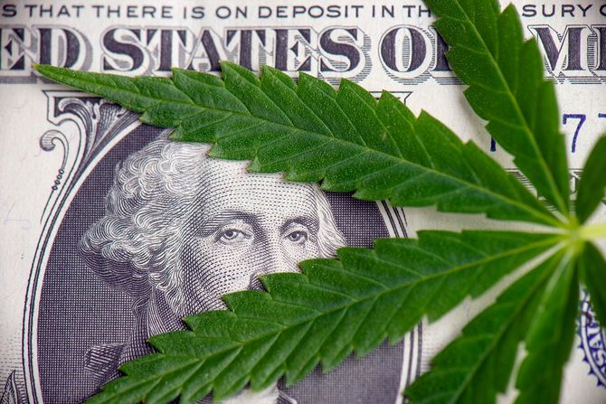 アメリカのドル紙幣に大麻葉
