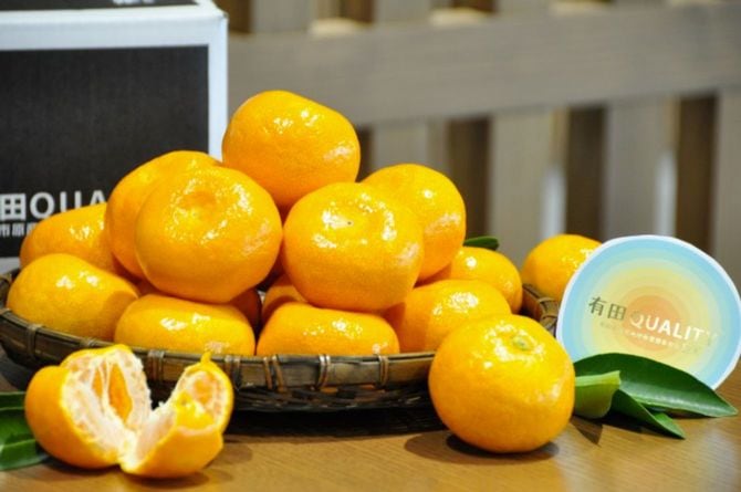 和歌山県有田市の返礼品・有田市認定みかん。(有田市ホームページより)