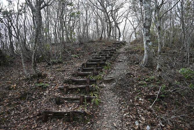 土塁に囲まれた大嶽の主郭。