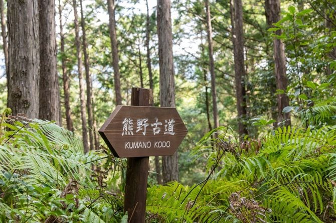 参詣道沿いの「熊野古道」と書かれた木看板
