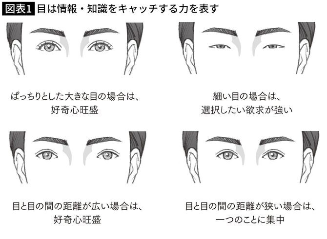 目は情報・知識をキャッチする力を表す