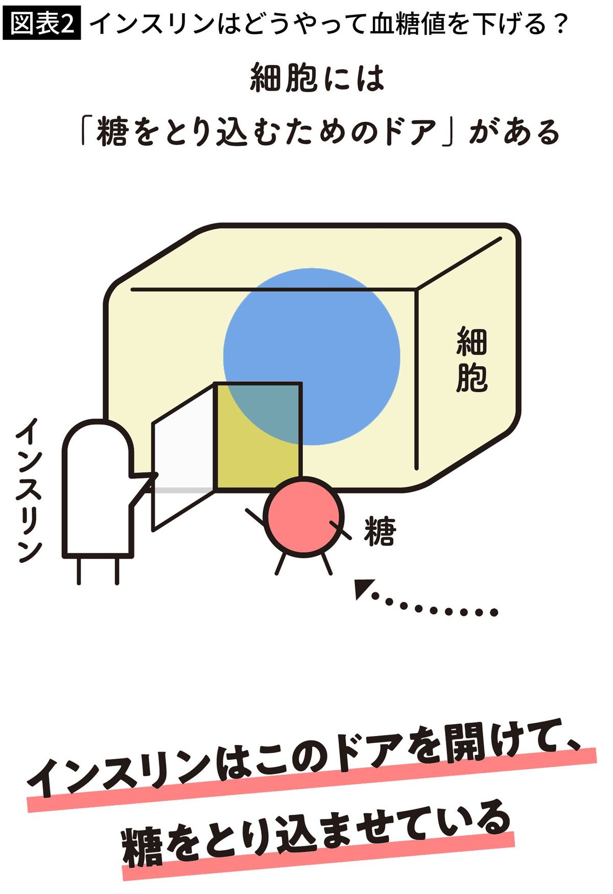 【図表2】インスリンはどうやって血糖値を下げる？