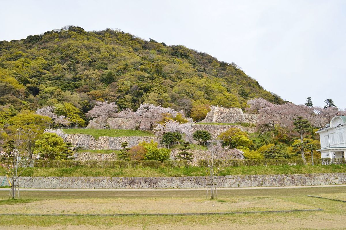 鳥取城 全景