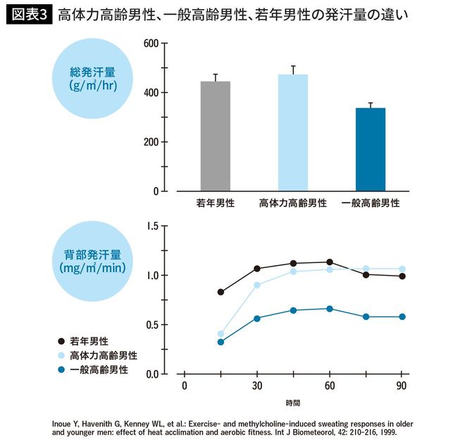 高体力高齢男性、一般高齢男性、若年男性の発汗量の違い