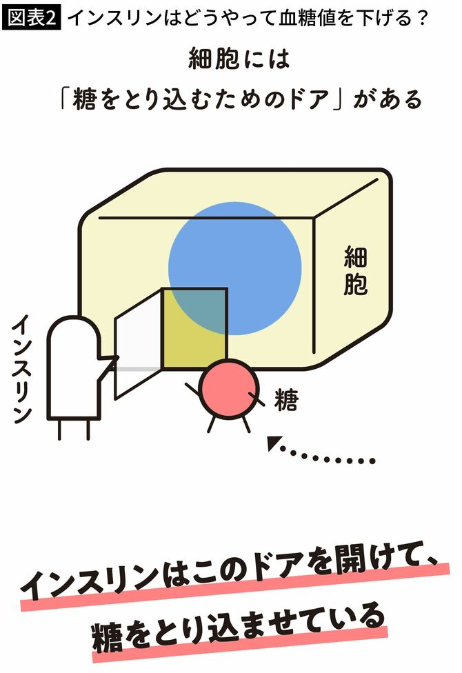 【図表2】インスリンはどうやって血糖値を下げる?