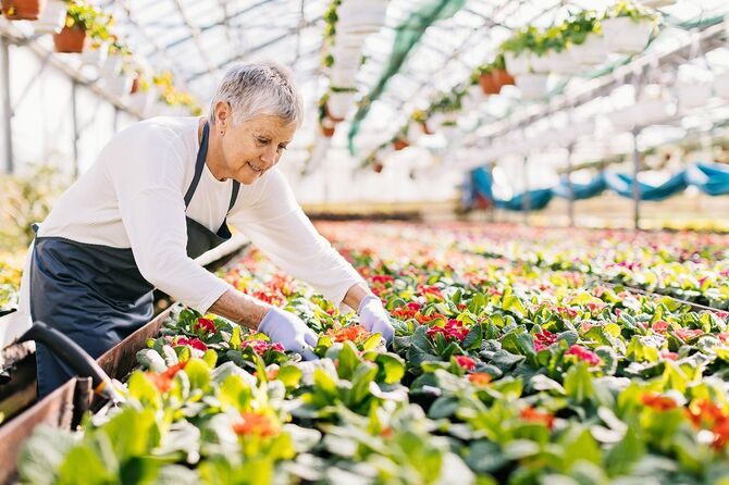 花の園で働く先輩女性