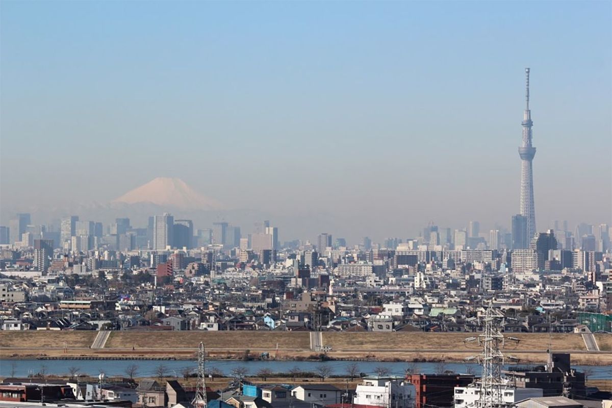 市川市からみる東京スカイツリーと富士山